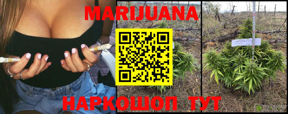 Бошки марихуана SATIVA & INDICA  МАРИХУАНА VHQ  Вход с VPN  Марихуана ГИДРОПОН  Апшеронск 